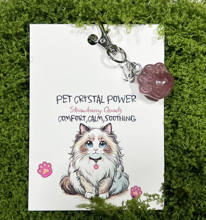 Crystal Cat Paw Pet Pendant - Gentle Comfort for the Soul